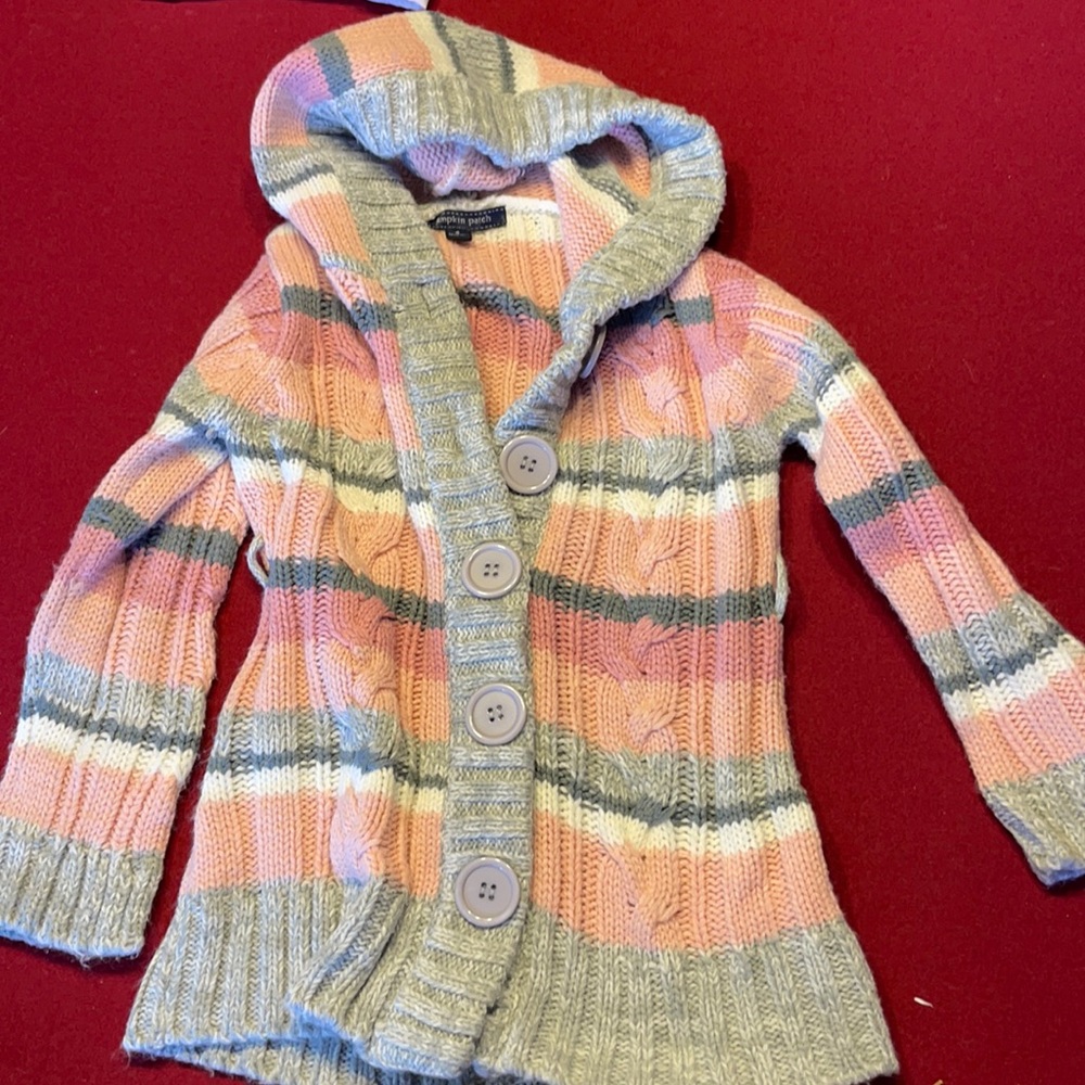 Pumpkin patch sweater with hood size 4